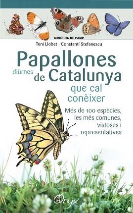 PAPALLONES DIÜRNES DE CATALUNYA | 9788490346754 | LLOBET FRANÇOIS, TONI / STEFANESCU, CONSTANTÍ | Llibreria Aqualata | Comprar llibres en català i castellà online | Comprar llibres Igualada