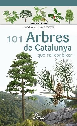 101 ARBRES DE CATALUNYA | 9788490346778 | LLOBET FRANÇOIS, TONI / CARRERA BONET, DAVID | Llibreria Aqualata | Comprar libros en catalán y castellano online | Comprar libros Igualada