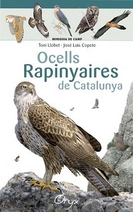 OCELLS RAPINYAIRES DE CATALUNYA | 9788490346785 | LLOBET FRANÇOIS, TONI / COPETE, JOSÉ LUIS | Llibreria Aqualata | Comprar llibres en català i castellà online | Comprar llibres Igualada