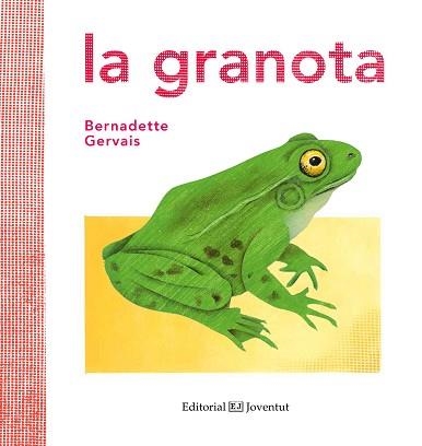 GRANOTA, LA | 9788426144591 | GERVAIS, BERNADETTE | Llibreria Aqualata | Comprar libros en catalán y castellano online | Comprar libros Igualada