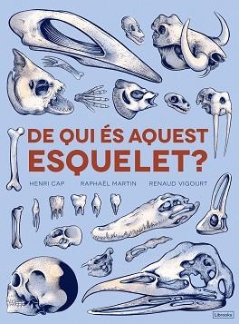 DE QUI ÉS AQUEST ESQUELET? | 9788494731860 | CAP, HENRI / MARTÍN, RAPHAËL | Llibreria Aqualata | Comprar llibres en català i castellà online | Comprar llibres Igualada