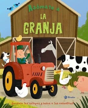 ASÓMATE A LA GRANJA | 9788469622834 | VARIOS AUTORES | Llibreria Aqualata | Comprar llibres en català i castellà online | Comprar llibres Igualada