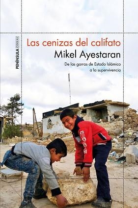 CENIZAS DEL CALIFATO, LAS | 9788499427065 | AYESTARAN, MIKEL | Llibreria Aqualata | Comprar llibres en català i castellà online | Comprar llibres Igualada