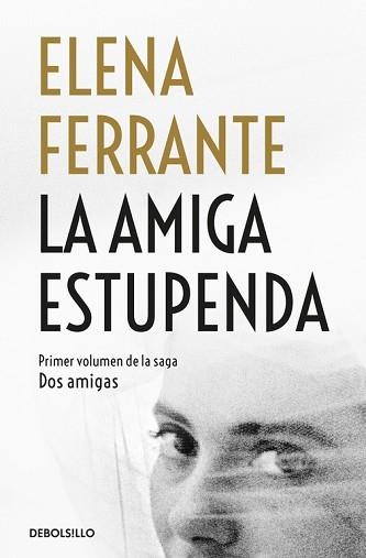 AMIGA ESTUPENDA, LA (DOS AMIGAS 1) | 9788466344357 | FERRANTE, ELENA | Llibreria Aqualata | Comprar llibres en català i castellà online | Comprar llibres Igualada