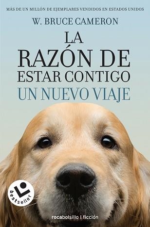 RAZÓN DE ESTAR CONTIGO, LA. UN NUEVO VIAJE | 9788416240999 | CAMERON, W. BRUCE | Llibreria Aqualata | Comprar libros en catalán y castellano online | Comprar libros Igualada