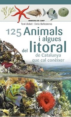 125 ANIMALS I ALGUES DEL LITORAL DE CATALUNYA | 9788490347416 | BALLESTEROS SAGARRA, ENRIC | Llibreria Aqualata | Comprar libros en catalán y castellano online | Comprar libros Igualada