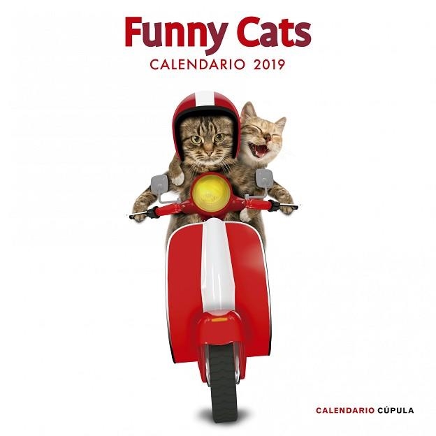 2019 CALENDARIO FUNNY CATS  | 9788448024628 | AA. VV. | Llibreria Aqualata | Comprar llibres en català i castellà online | Comprar llibres Igualada