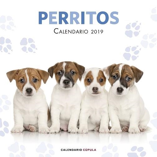 2019 CALENDARIO PERRITOS | 9788448024642 | AA. VV. | Llibreria Aqualata | Comprar llibres en català i castellà online | Comprar llibres Igualada