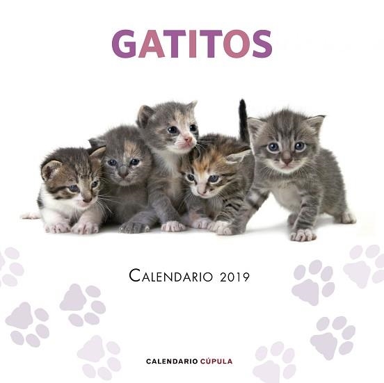 2019 CALENDARIO GATITOS  | 9788448024659 | AA. VV. | Llibreria Aqualata | Comprar llibres en català i castellà online | Comprar llibres Igualada