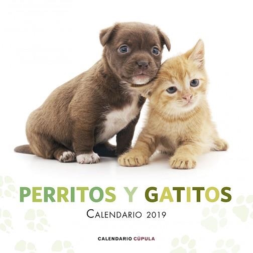 2019 CALENDARIO PERRITOS Y GATITOS  | 9788448024666 | AA. VV. | Llibreria Aqualata | Comprar llibres en català i castellà online | Comprar llibres Igualada