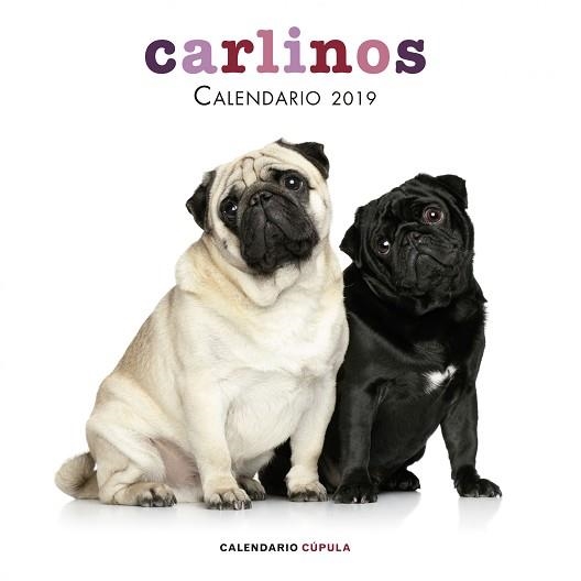 2019 CALENDARIO CARLINOS  | 9788448024680 | AA. VV. | Llibreria Aqualata | Comprar llibres en català i castellà online | Comprar llibres Igualada