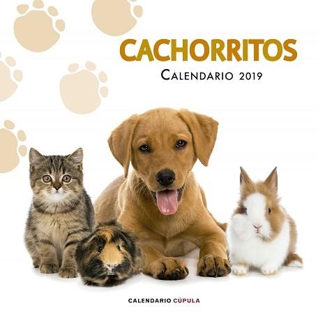 2019 CALENDARIO CACHORRITOS | 9788448024673 | AA. VV. | Llibreria Aqualata | Comprar llibres en català i castellà online | Comprar llibres Igualada