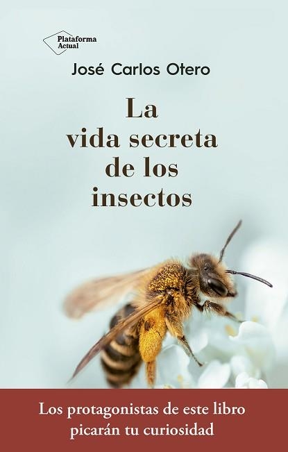 VIDA SECRETA DE LOS INSECTOS, LA | 9788417376789 | OTERO GONZÁLEZ, JOSÉ CARLOS | Llibreria Aqualata | Comprar llibres en català i castellà online | Comprar llibres Igualada