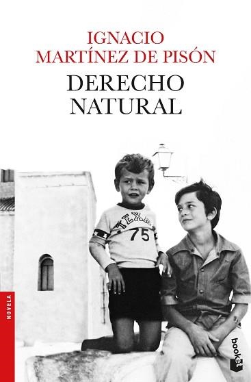 DERECHO NATURAL | 9788432234279 | MARTÍNEZ DE PISÓN, IGNACIO | Llibreria Aqualata | Comprar libros en catalán y castellano online | Comprar libros Igualada