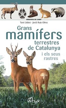 GRANS MAMÍFERS TERRESTRES DE CATALUNYA I ELS SEUS RASTRES | 9788490347881 | LLOBET FRANÇOIS , TONI / RUIZ-OLMO, JORDI | Llibreria Aqualata | Comprar llibres en català i castellà online | Comprar llibres Igualada