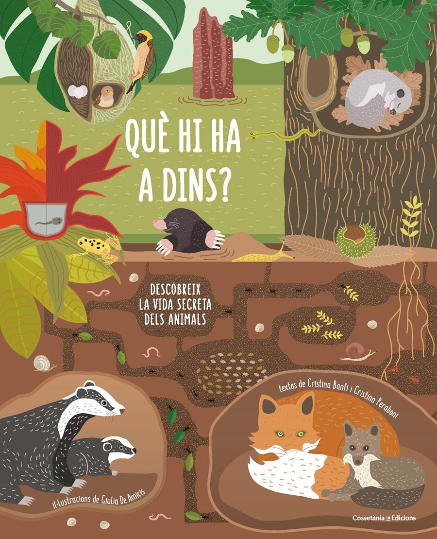 QUÈ HI HA A DINS? | 9788490347607 | BANFI BANFI, CRISTINA/PERABONI PERABONI, CRISTINA | Llibreria Aqualata | Comprar llibres en català i castellà online | Comprar llibres Igualada