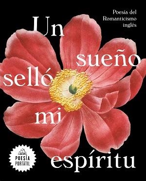 UN SUEÑO SELLÓ MI ESPÍRITU | 9788439735328 | AA.VV. | Llibreria Aqualata | Comprar llibres en català i castellà online | Comprar llibres Igualada