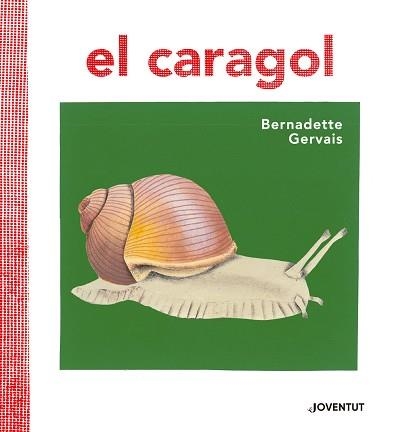 CARAGOL, EL | 9788426145680 | GERVAIS, BERNADETTE / TORNERO BRUGUÉS, SUSANA | Llibreria Aqualata | Comprar llibres en català i castellà online | Comprar llibres Igualada