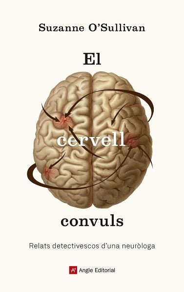 CERVELL CONVULS, EL | 9788417214586 | O'SULLIVAN, SUZANNE | Llibreria Aqualata | Comprar llibres en català i castellà online | Comprar llibres Igualada