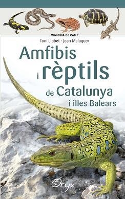 AMFIBIS I RÈPTILS DE CATALUNYA I ILLES BALEARS | 9788490346792 | LLOBET FRANÇOIS , TONI / MALUQUER MARGALEF, JOAN | Llibreria Aqualata | Comprar llibres en català i castellà online | Comprar llibres Igualada