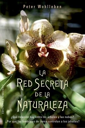 RED SECRETA DE LA NATURALEZA, LA | 9788491114192 | WOHLLEBEN, PETER | Llibreria Aqualata | Comprar llibres en català i castellà online | Comprar llibres Igualada