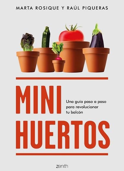 MINIHUERTOS | 9788408201885 | ROSIQUE, MARTA / PIQUERAS, RAÚL | Llibreria Aqualata | Comprar llibres en català i castellà online | Comprar llibres Igualada