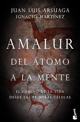 AMALUR | 9788423355365 | ARSUAGA, JUAN LUIS / MARTÍNEZ, IGNACIO | Llibreria Aqualata | Comprar libros en catalán y castellano online | Comprar libros Igualada