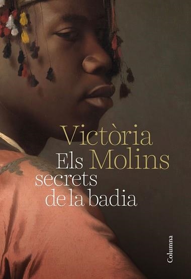 SECRETS DE LA BADIA, ELS | 9788466425070 | MOLINS, MARIA VICTÒRIA | Llibreria Aqualata | Comprar llibres en català i castellà online | Comprar llibres Igualada