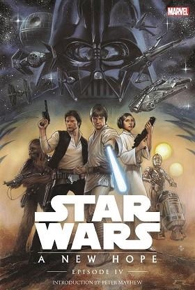 STAR WARS. UNA NUEVA ESPERANZA | 9788491469032 | THOMAS, ROY | Llibreria Aqualata | Comprar llibres en català i castellà online | Comprar llibres Igualada