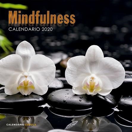 2020 CALENDARIO MINDFULNESS | 9788448026110 | AA. VV. | Llibreria Aqualata | Comprar llibres en català i castellà online | Comprar llibres Igualada