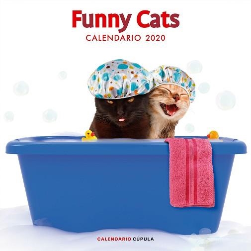 2020 CALENDARIO FUNNY CATS  | 9788448026141 | AA. VV. | Llibreria Aqualata | Comprar llibres en català i castellà online | Comprar llibres Igualada