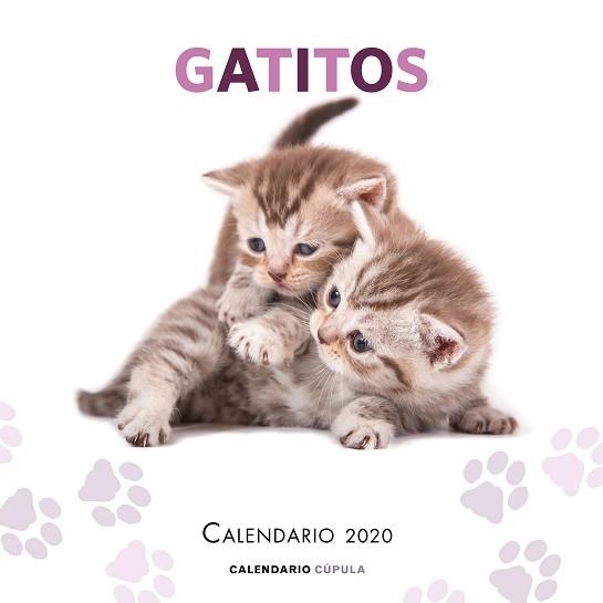 2020 CALENDARIO GATITOS  | 9788448026165 | AA. VV. | Llibreria Aqualata | Comprar llibres en català i castellà online | Comprar llibres Igualada