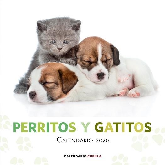 2020 CALENDARIO PERRITOS Y GATITOS  | 9788448026172 | AA. VV. | Llibreria Aqualata | Comprar llibres en català i castellà online | Comprar llibres Igualada