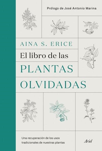 LIBRO DE LAS PLANTAS OLVIDADAS, EL | 9788434431461 | S. ERICE, AINA | Llibreria Aqualata | Comprar llibres en català i castellà online | Comprar llibres Igualada