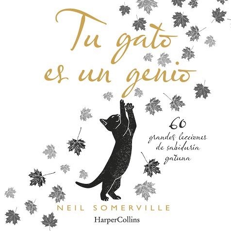 TU GATO ES UN GENIO. 60 GRANDES LECCIONES DE SABIDURÍA GATUNA | 9788491394211 | SOMERVILLE, NEIL | Llibreria Aqualata | Comprar llibres en català i castellà online | Comprar llibres Igualada