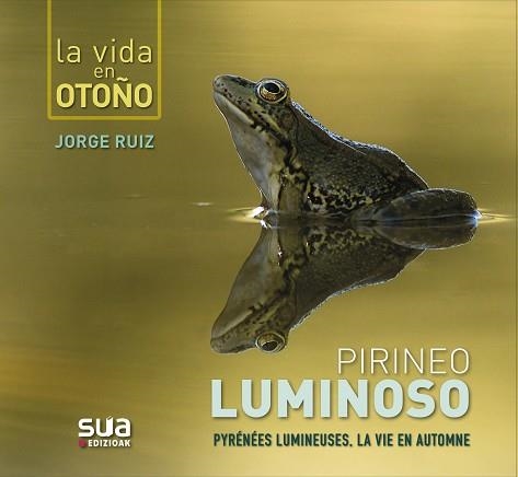 PIRINEO LUMINOSO. LA VIDA EN OTOÑO | 9788482167312 | RUIZ, JORGE | Llibreria Aqualata | Comprar llibres en català i castellà online | Comprar llibres Igualada