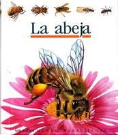 ABEJA, LA (MUNDO MARAVILLOSO 19) | 9788434840362 | Llibreria Aqualata | Comprar llibres en català i castellà online | Comprar llibres Igualada