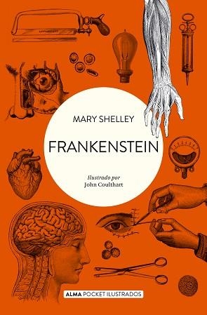 FRANKENSTEIN (POCKET) | 9788418008511 | SHELLEY, MARY | Llibreria Aqualata | Comprar llibres en català i castellà online | Comprar llibres Igualada