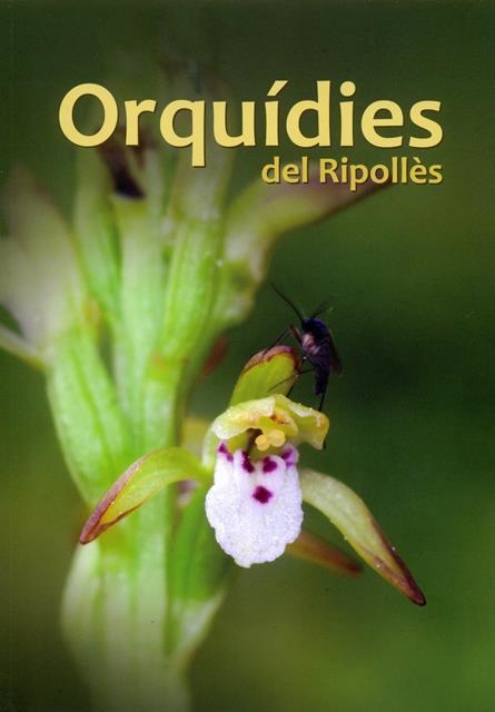 ORQUÍDIES DEL RIPOLLÈS | 9788499652955 | CANALS TARON, JOAN | Llibreria Aqualata | Comprar llibres en català i castellà online | Comprar llibres Igualada