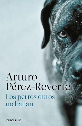 PERROS DUROS NO BAILAN, LOS | 9788466350594 | PÉREZ-REVERTE, ARTURO | Llibreria Aqualata | Comprar llibres en català i castellà online | Comprar llibres Igualada