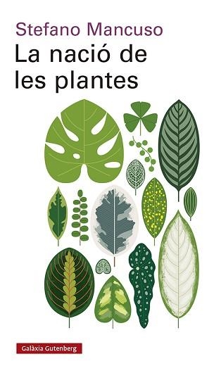 NACIÓ DE LES PLANTES, LA | 9788417971564 | MANCUSO, STEFANO | Llibreria Aqualata | Comprar llibres en català i castellà online | Comprar llibres Igualada