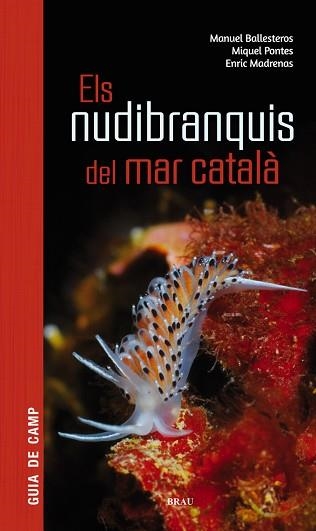 NUDIBRANQUIS DEL MAR CATALÀ, ELS | 9788415885924 | BALLESTEROS VÁZQUEZ, MANUEL/PONTES GARCIA, MIQUEL/MADRENAS TOMÀS, ENRIC | Llibreria Aqualata | Comprar llibres en català i castellà online | Comprar llibres Igualada