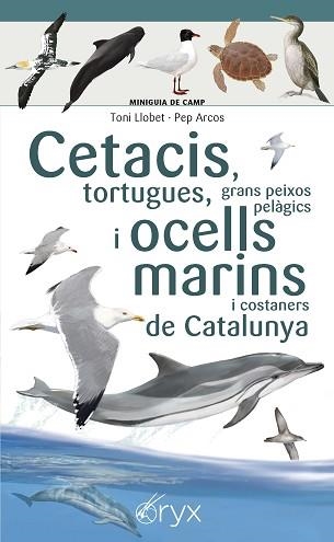 CETACIS, TORTUGUES, GRANS PEIXOS PELÀGICS I OCELLS MARINS DE CATALUNYA | 9788490349441 | LLOBET FRANÇOIS , TONI / ARCOS XX, PEP | Llibreria Aqualata | Comprar llibres en català i castellà online | Comprar llibres Igualada