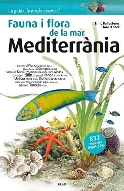 FLORA I FAUNA DE LA MAR MEDITERRÀNIA | 9788415885979 | BALLESTEROS SAGARRA, ENRIC | Llibreria Aqualata | Comprar libros en catalán y castellano online | Comprar libros Igualada