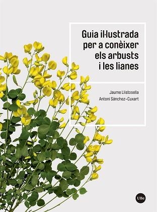 GUIA IL·LUSTRADA PER A CONÈIXER ELS ARBUSTS I LES LIANES | 9788491683735 | LLISTOSELLA VIDAL, JAUME/SÀNCHEZ-CUXART, ANTONI | Llibreria Aqualata | Comprar llibres en català i castellà online | Comprar llibres Igualada