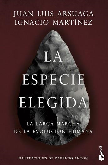 ESPECIE ELEGIDA, LA | 9788423358229 | ARSUAGA, JUAN LUIS / MARTÍNEZ, IGNACIO | Llibreria Aqualata | Comprar libros en catalán y castellano online | Comprar libros Igualada