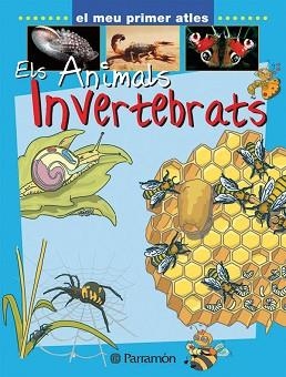 ANIMALS INVERTEBRATS, ELS | 9788434227149 | MARCET, XAVIER | Llibreria Aqualata | Comprar llibres en català i castellà online | Comprar llibres Igualada