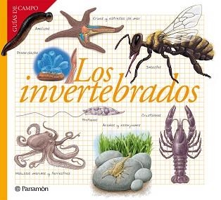 INVERTEBRADOS, LOS | 9788434240599 | BARRES MANUEL, JOSEP M. | Llibreria Aqualata | Comprar llibres en català i castellà online | Comprar llibres Igualada