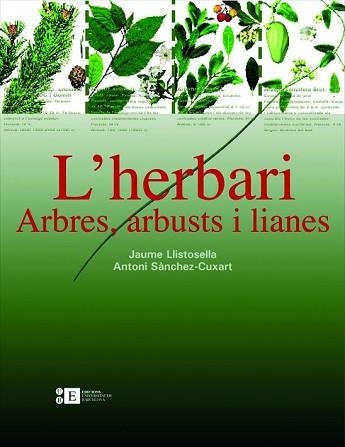 HERBARI, L'. ARBRES, ARBUSTS I LIANES | 9788483384220 | LLISTOSELLA, JAUME / SANCHEZ-CUXART, ANTONI | Llibreria Aqualata | Comprar llibres en català i castellà online | Comprar llibres Igualada