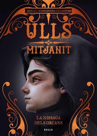 NISSAGA DELS ORCANS, LA (ULLS DE MITJANIT 3) | 9788447942466 | HERNÁNDEZ CHAMBERS, DANIEL | Llibreria Aqualata | Comprar llibres en català i castellà online | Comprar llibres Igualada